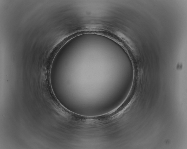X0000091581449200708201157