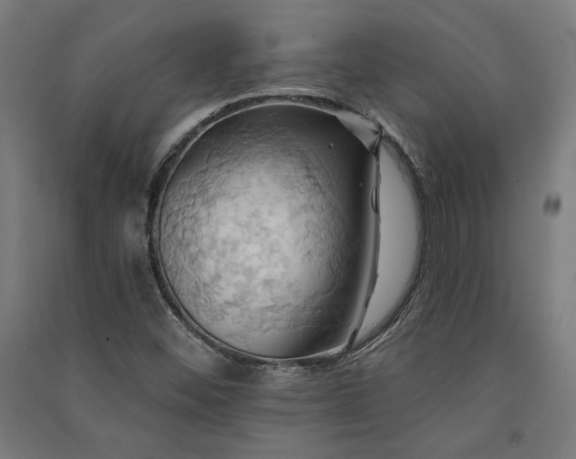 X0000091581452200708201157