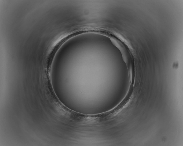 X0000091581453200708201157