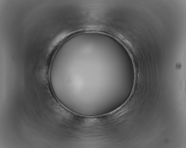 X0000091581454200708201157