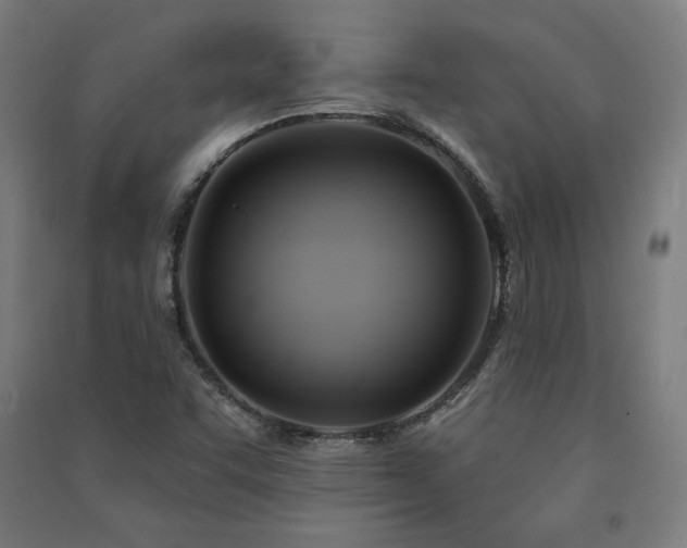 X0000091581455200708201157