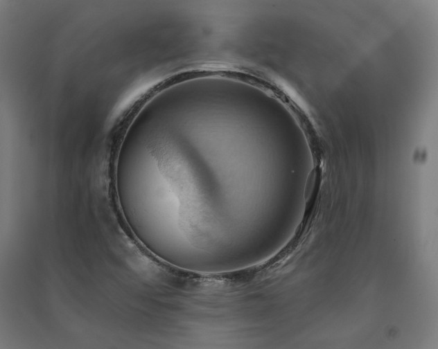 X0000091581456200708201157