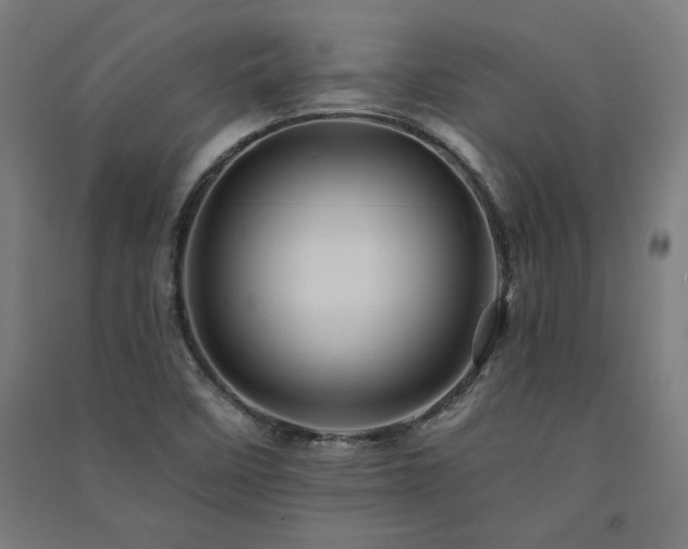 X0000091581458200708201157