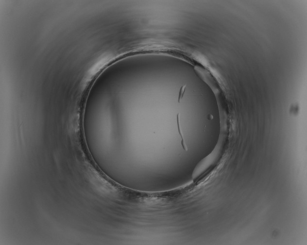 X0000091581459200708201157