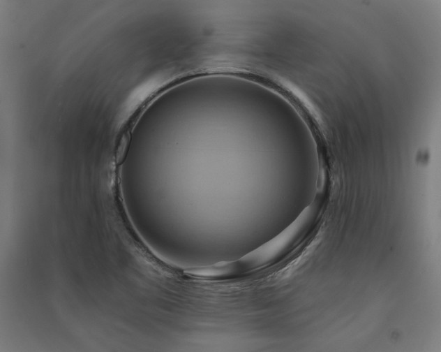 X0000091581461200708201157