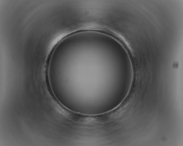 X0000091581463200708201157