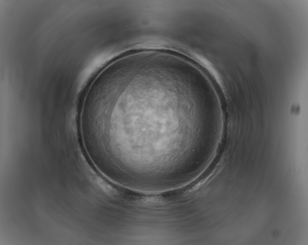 X0000091581464200708201157