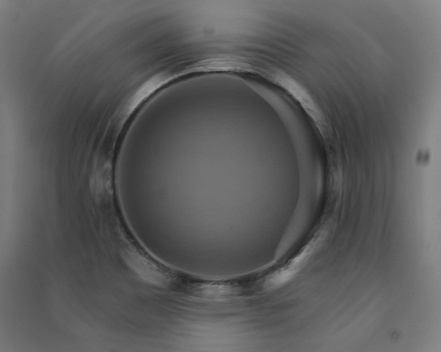 X0000091581465200708201157