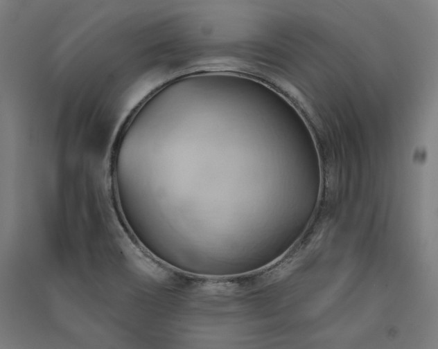 X0000091581466200708201157
