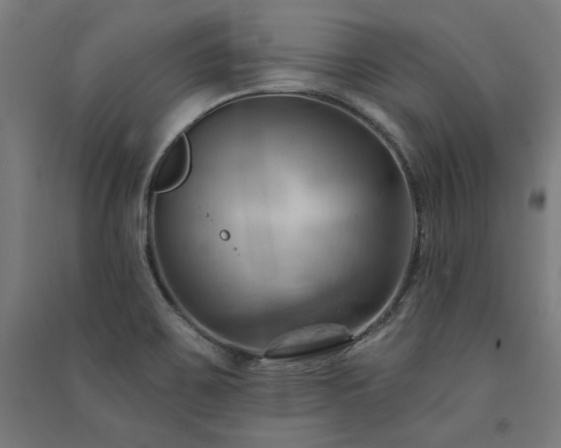 X0000091581467200708201157