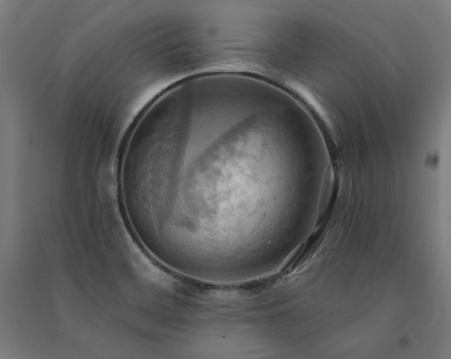 X0000091581468200708201157