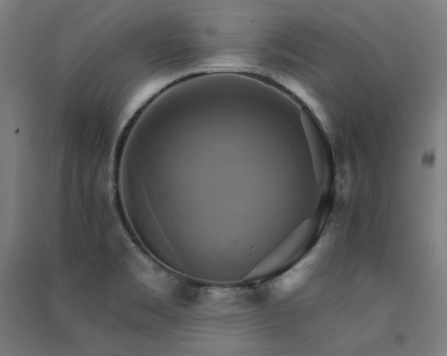 X0000091581469200708201157