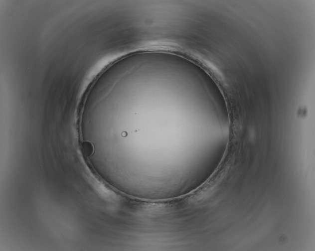 X0000091581470200708201157