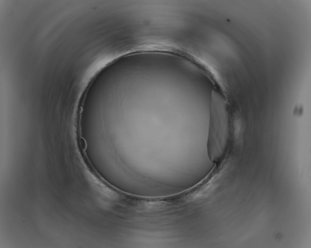 X0000091581471200708201157