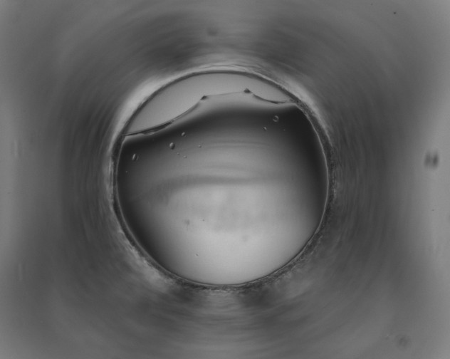 X0000091581472200708201156