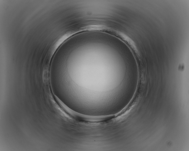 X0000091581473200708201156