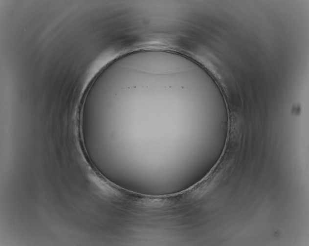 X0000091581474200708201156