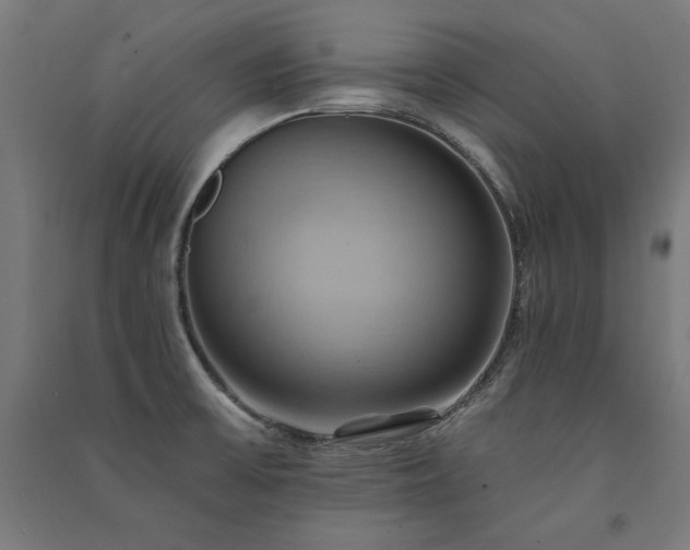 X0000091581475200708201156