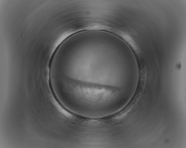 X0000091581476200708201156
