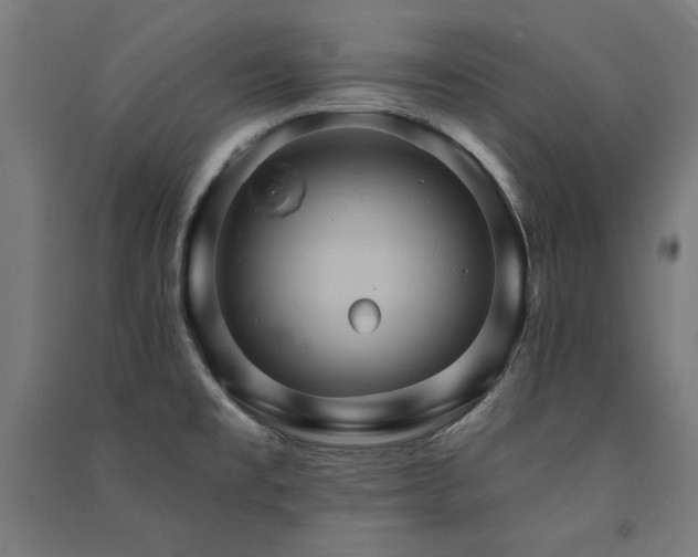 X0000091581477200708201156