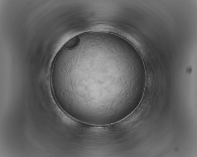 X0000091581478200708201156