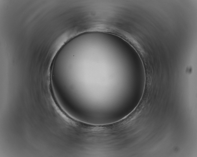 X0000091581479200708201156