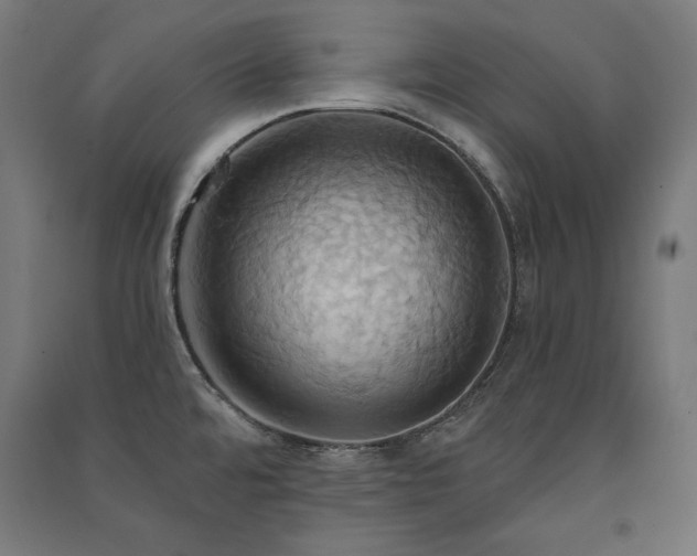 X0000091581480200708201156