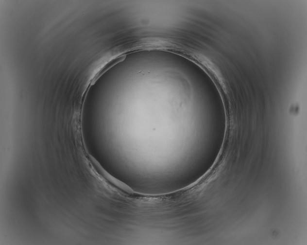 X0000091581481200708201156