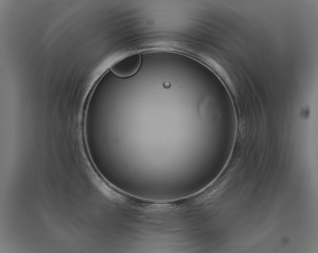 X0000091581482200708201156