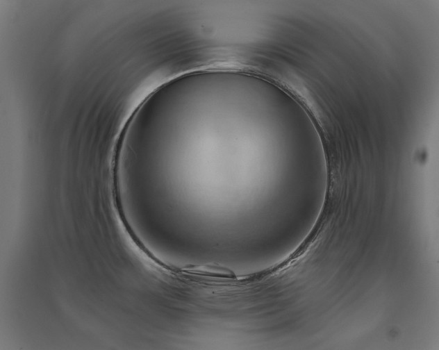 X0000091581483200708201156