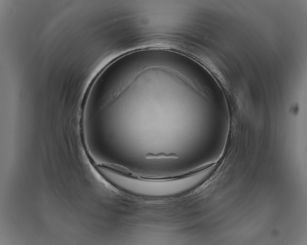 X0000091581484200708201156