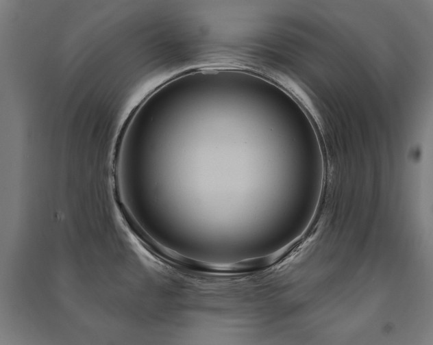 X0000091581485200708201156