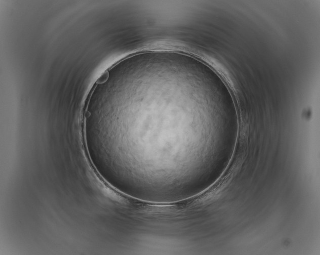 X0000091581486200708201156