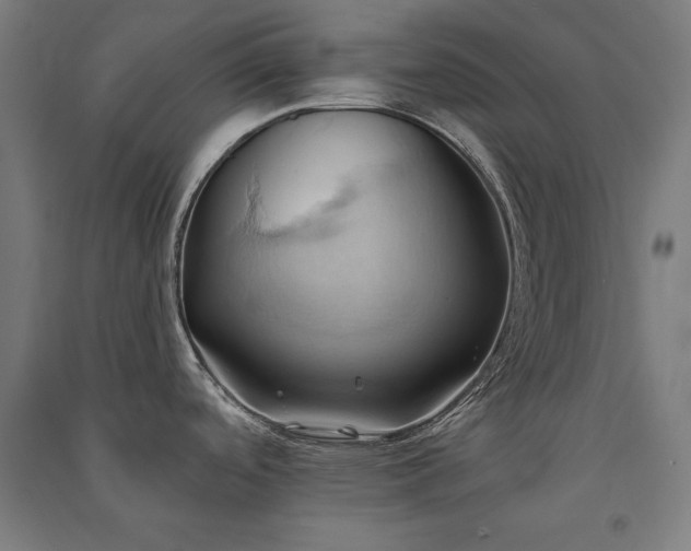 X0000091581488200708201156