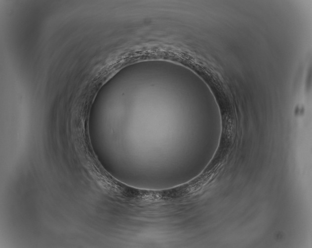X0000091581489200708201156