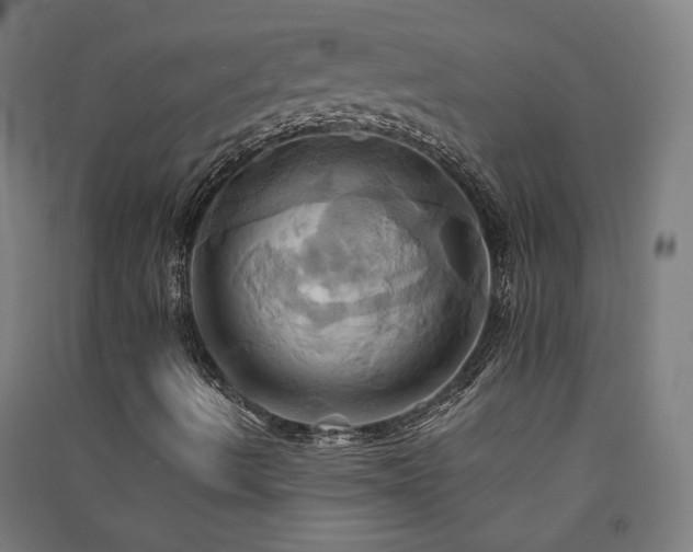 X0000091581490200708201156