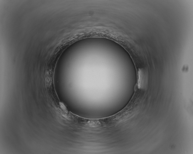 X0000091581491200708201156