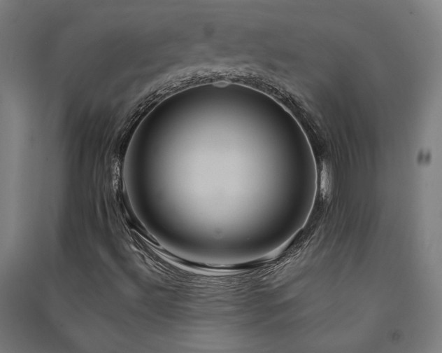 X0000091581492200708201156