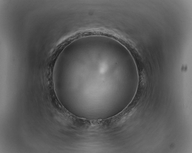 X0000091581494200708201156