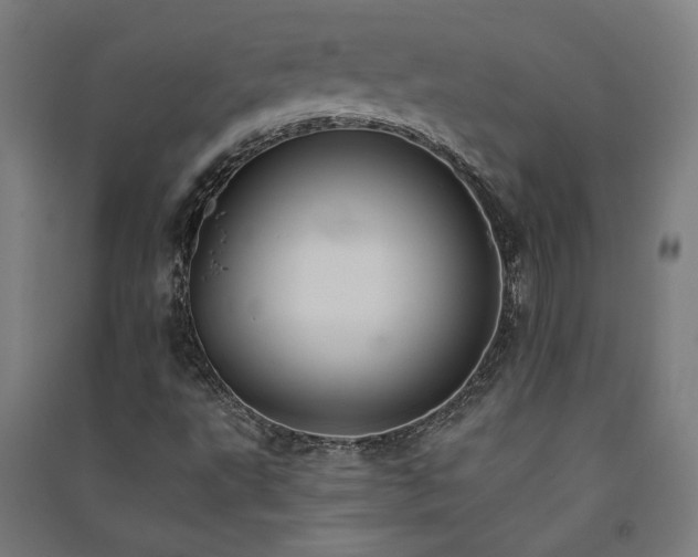 X0000091581495200708201156