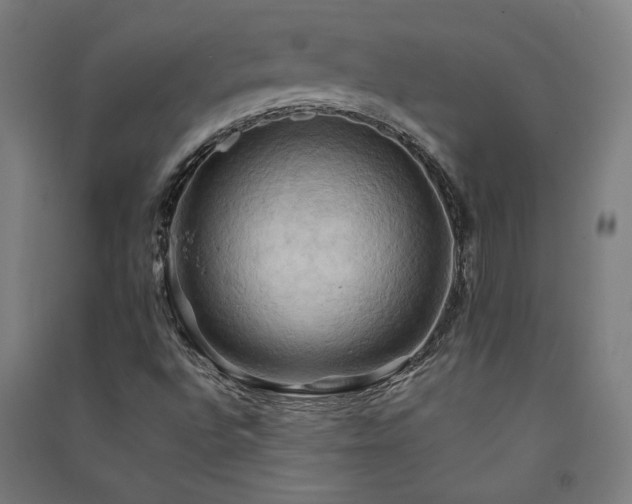 X0000091581496200708201156