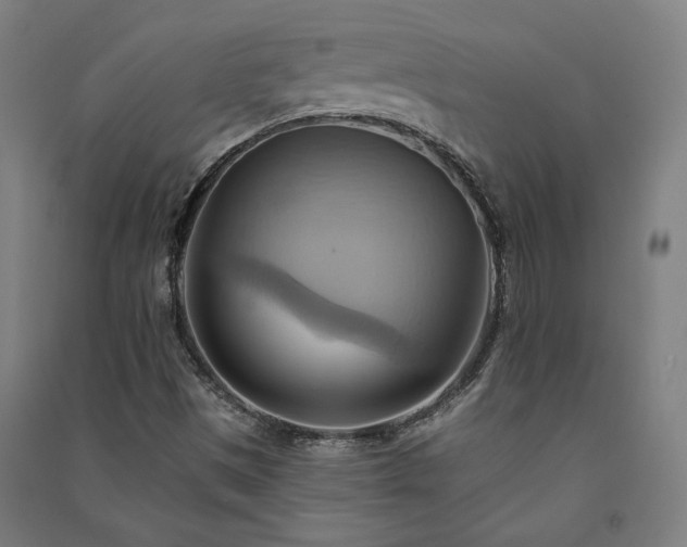 X0000091581497200708201156