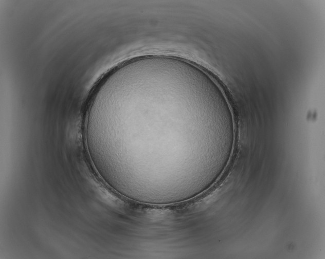 X0000091581498200708201156