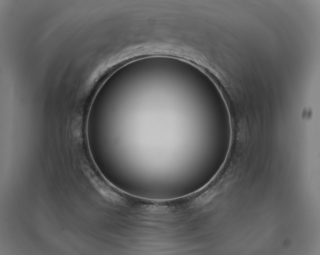 X0000091581499200708201156