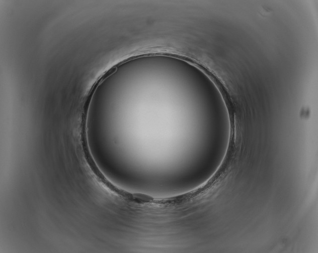 X0000091581500200708201156