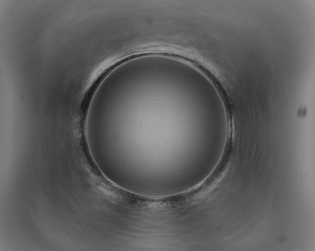 X0000091581501200708201156