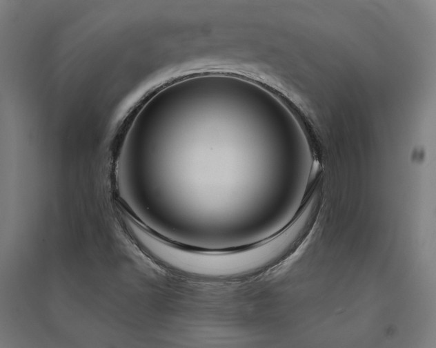 X0000091581502200708201156