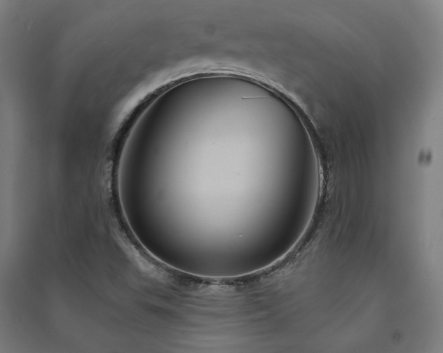 X0000091581503200708201156