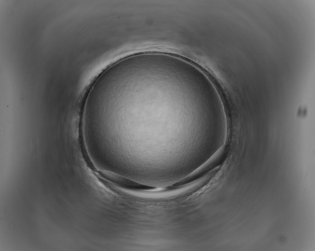 X0000091581504200708201156