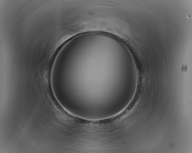 X0000091581505200708201156